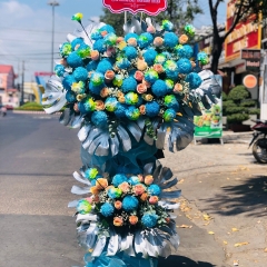 Mộc Flower Phan Thiếtt